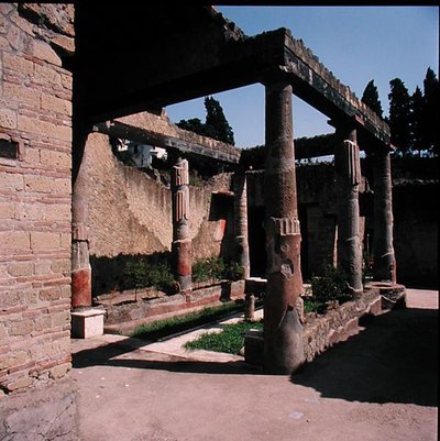 Casa del Atrio Corintio de Roman Roman